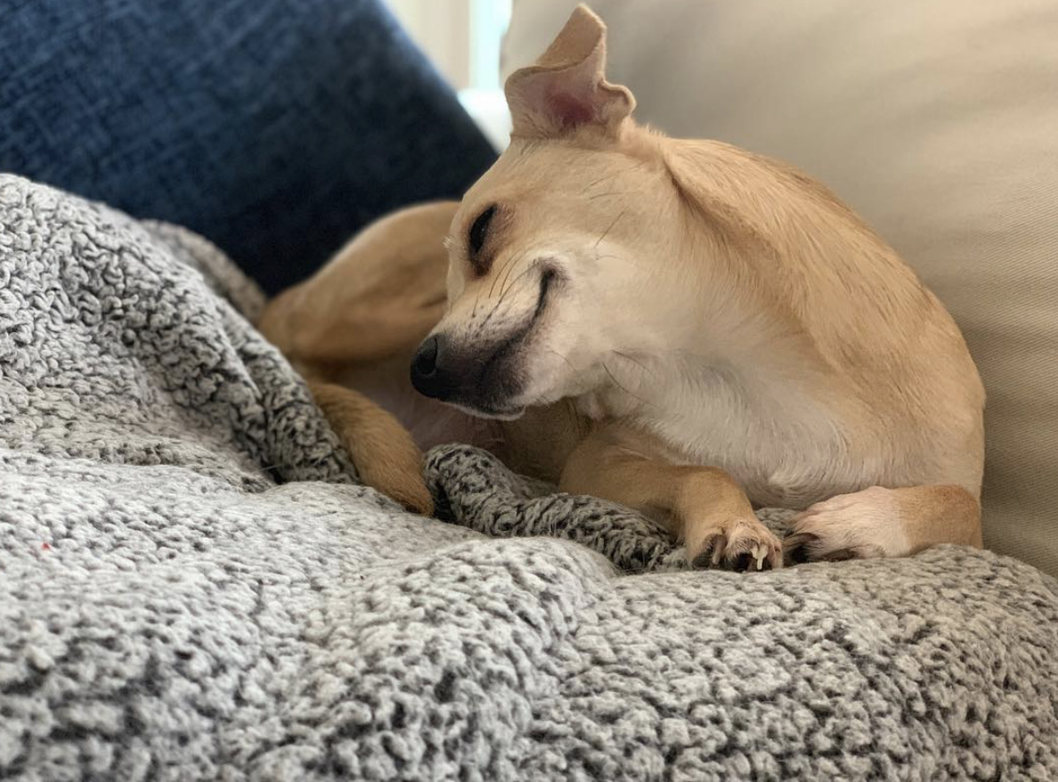 Screen Shot 2019-06-23 at 10.09.07 PM