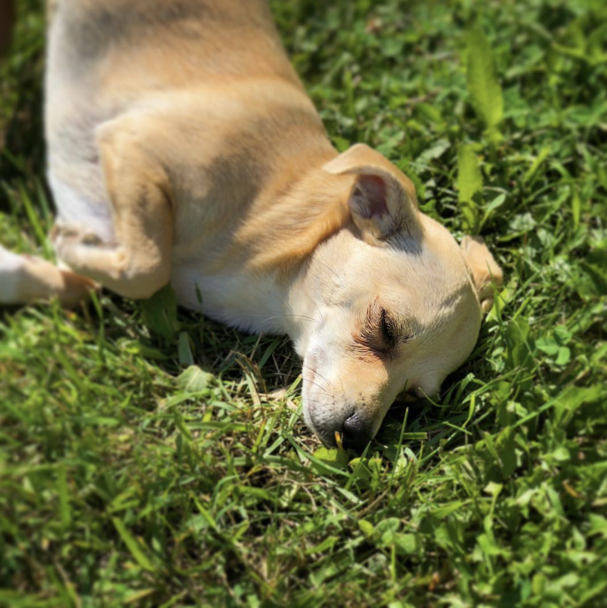 Screen Shot 2019-06-23 at 10.09.49 PM